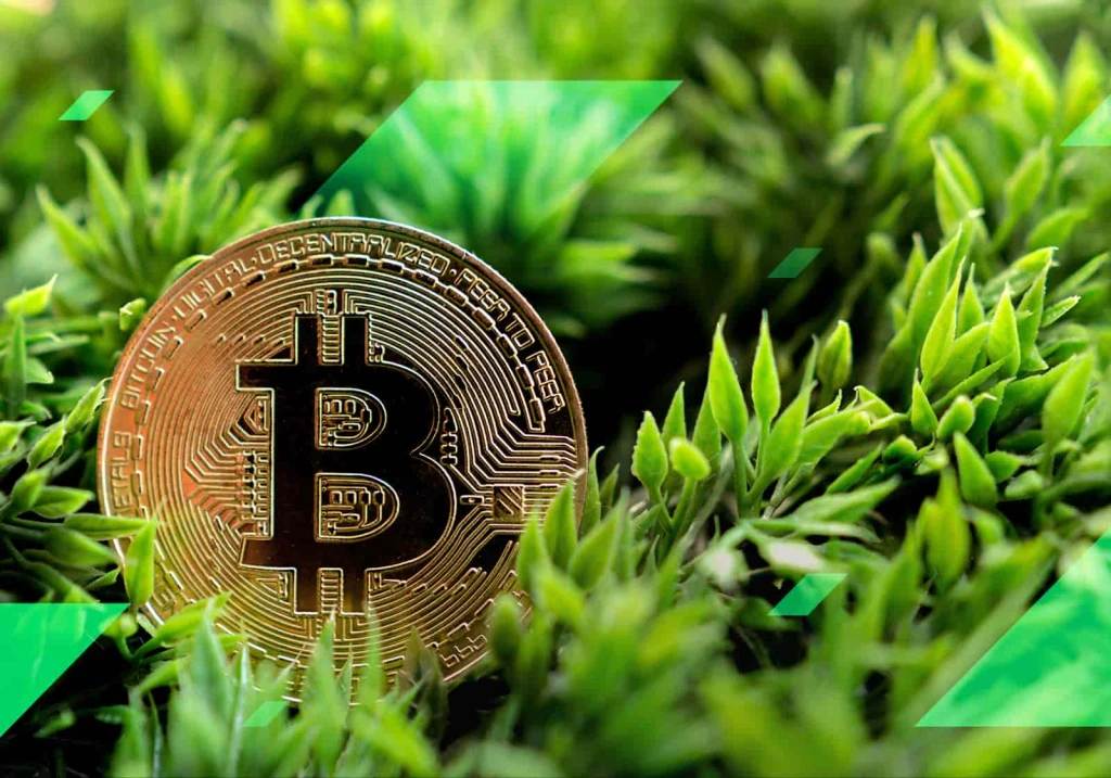 Bitcoin Verde: Estudo de Cambridge Revela que a Mineração já é Majoritariamente Sustentável