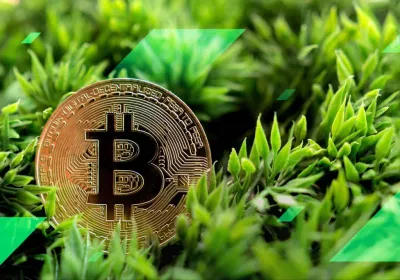 Bitcoin Verde: Estudo de Cambridge Revela que a Mineração já é Majoritariamente Sustentável